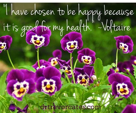 Good Morning Friends Voltaire Says I Have Chosen To Be Happy