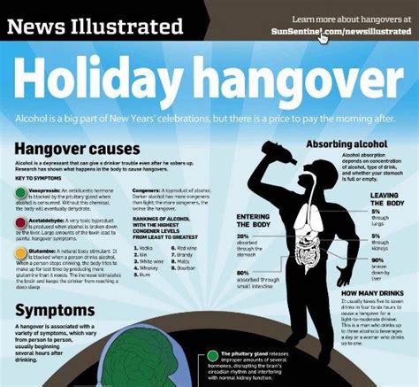 Top 5 Alcohol Infographics Alcohol Infographic Alcoholic Drinks