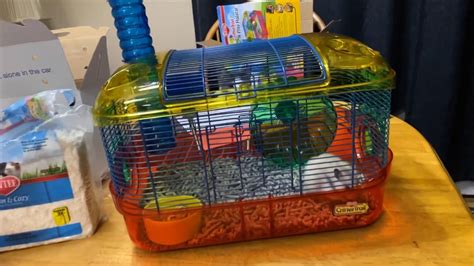 Crittertrail Loop N Play Habitat Setup With New Hamster And Cat Youtube