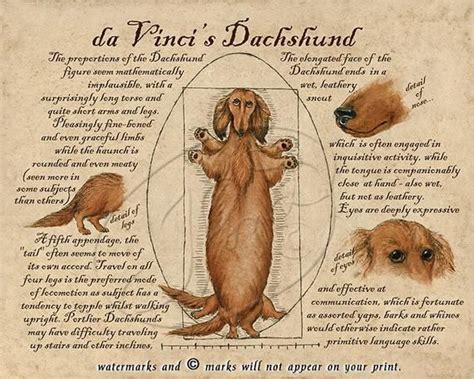 Bildergebnis Für Da Vinci Code Poster Parody Dackel