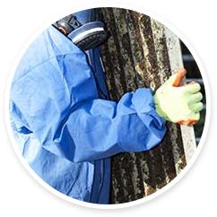 Asbestos Removal - Newcastle | Services