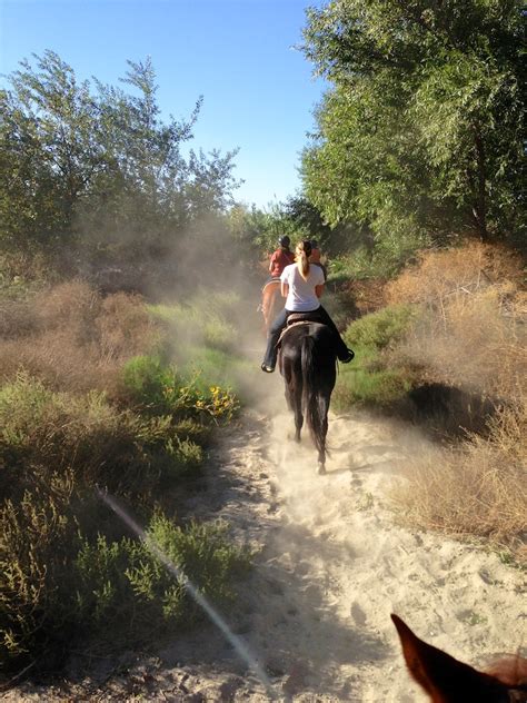 Horseback Riding In The Inland Empire With Western Trails California