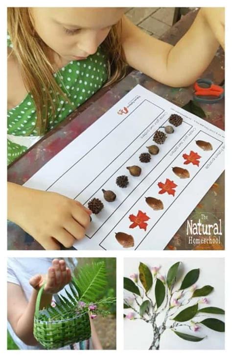 Awesome Nature Crafts for Kids - The Natural Homeschool