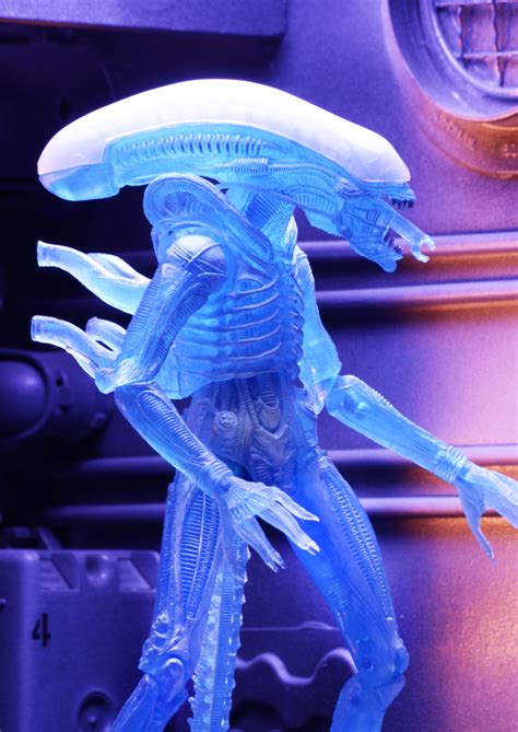 Discontinued Aliens 7″ Scale Action Figures Series 11 Assortment
