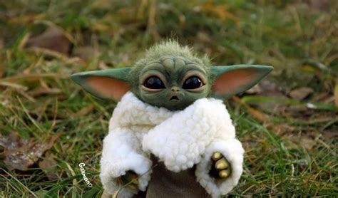 This Unique Baby Yoda Already Has A 14 Th Month Waitlist Stuffedparty