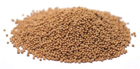 Add the shallot and cook until soft, about 2 minutes. Buy Whole Wheat Couscous Online in Bulk at Mount Hope ...