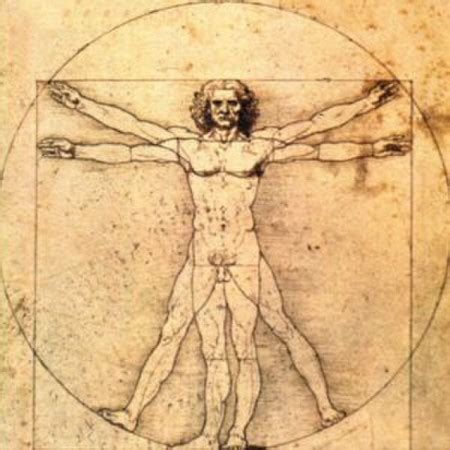 Vitruvian Man By Leonardo Da Vinci Overview Legacy Lesson Study Com
