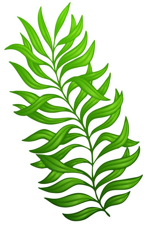 Clipart Plant Png 10 Free Cliparts Download Images On Clipground 2024