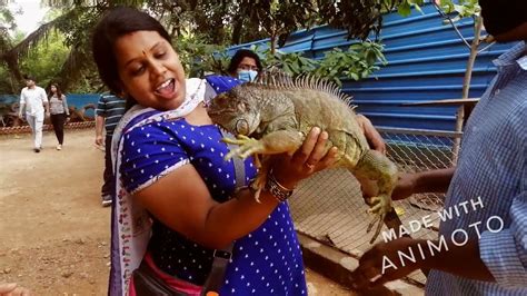 Planet Earth Aquarium Mysore July 2021 Youtube