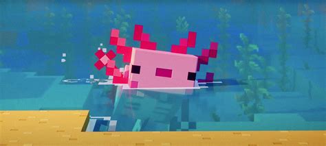 Minecraft Axolotl Anime