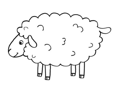 Coloriage Le Mouton à Bouclettes