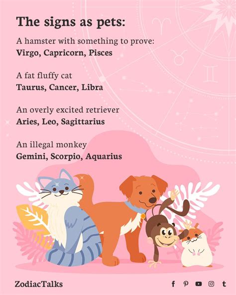 Zodiac Signs As Pets Zodiac Talks