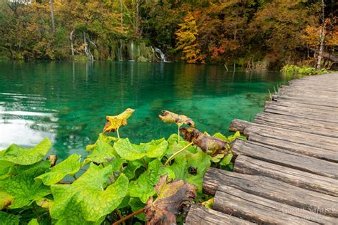 The Magic Of Plitvice Lakes In Autumn Explore Croatia
