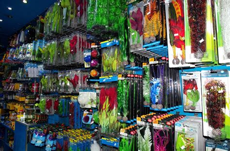 Check spelling or type a new query. London Aquarium Supplies & Livestock | AQUATIC DESIGN ...