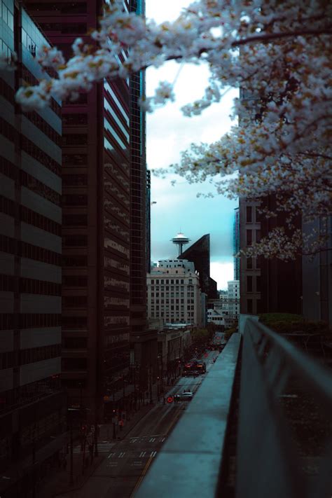 Captivating Cinematic Photography Of Spring In Downtown Seattle