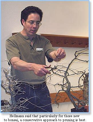 Founded 1930, 22 members meets: 2007 - Succulent Bonsai - Henry Shaw Cactus and Succulent ...