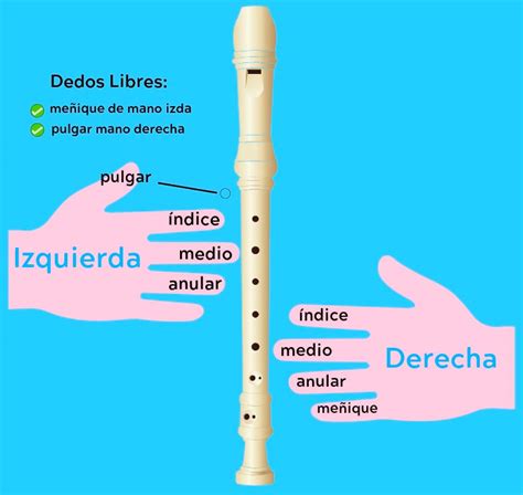 Tutorial Para Aprender A Tocar Flauta Para Niños Actualizado
