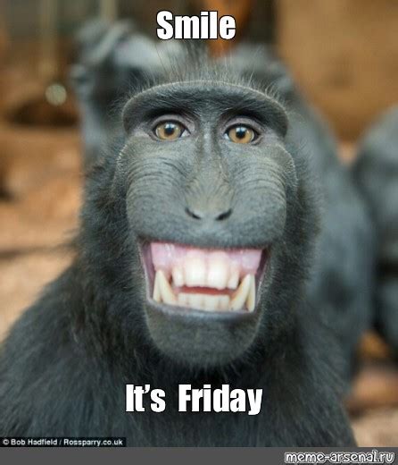Happy friday memes | www.textmemes.com. Meme: "Smile It's Friday" - All Templates - Meme-arsenal.com