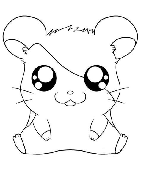 Desenhos De Fofo Hamtaro Para Colorir E Imprimir Colorironline Com