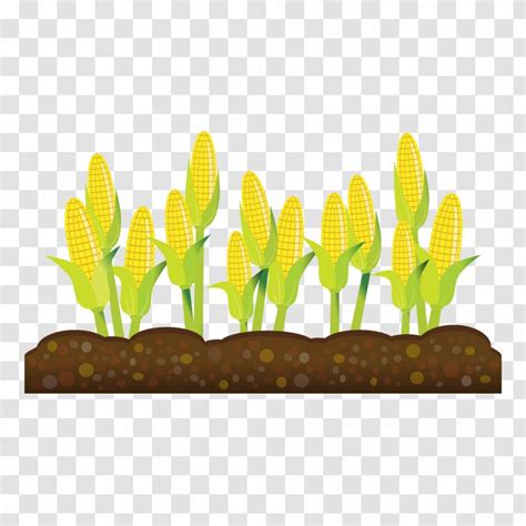 Agriculture Field Clipart