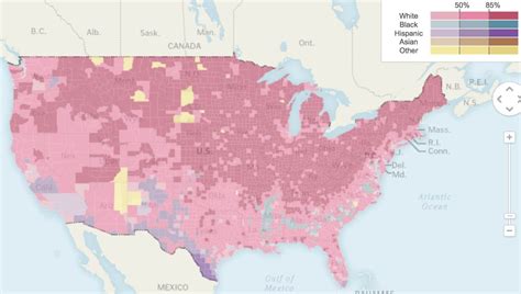 the ambiguity of racial categories the washington post