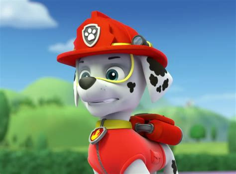 For these heroes, no job is too big, no pup is too small! Marshall - Marshall - PAW Patrol Photo (40156678) - Fanpop