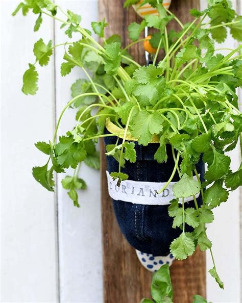 Get the essential tools roadmap and find out which tools are essential to diy and which 3 tools you should start with. How To Make Indoor Herb Garden Planters From Denim | Herb ...