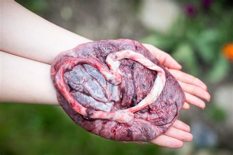 You can expect a difficult how do you imagine a typical day in this job? What Is The Placenta And What Does It Do? | The Pulse