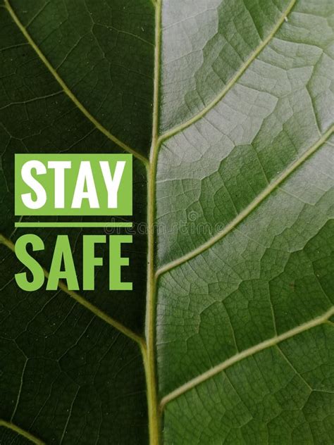 Text Stay Safe On A Green Leaf Background Stock Image Image Of