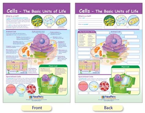 Basic unit of dna and rna; W94-4602 Cells - The Basic Units of Life Bulletin Board Chart