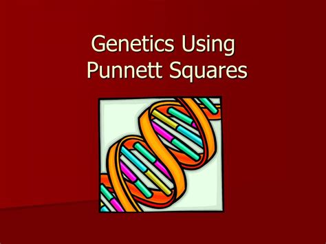 Are punnett squares just academic games? PPT - Genetics Using Punnett Squares PowerPoint Presentation, free download - ID:6111788