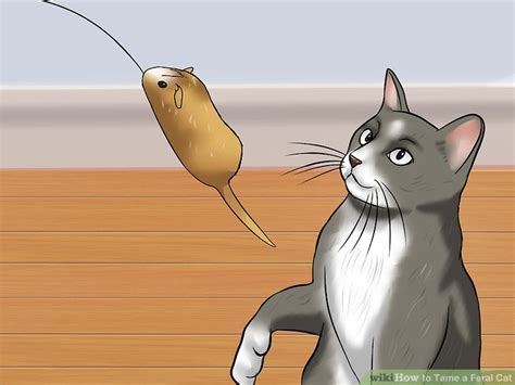 Taming is the process where an animal's behavior changes from wild and hostile towards humans into more docile and when a feral cat is injured or sick, caregivers usually trap him or her and get them to a veterinary clinic. How to Tame a Feral Cat: 14 Steps (with Pictures) - wikiHow