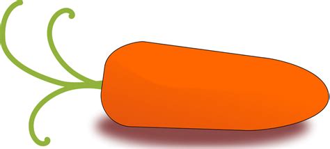 Carrot | Free Stock Photo | Illustration of an orange carrot | # 16512