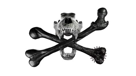 Skull And Crossbones Skull And Bones Arctic Wolf Black