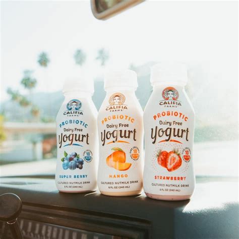 Check spelling or type a new query. Probiotic Dairy Free Yogurt Drink Strawberry - 1 Case (8 ...
