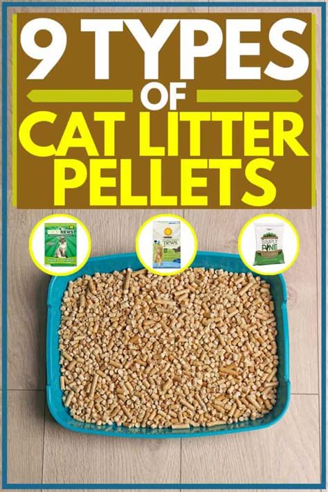 Types Of Cat Litter Pellets Cat Meme Stock Pictures And Photos
