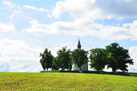 Church Of The Trees Stock Image Image Of Blue Horizon 31367987