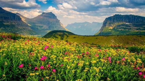 113351 Meadows 4k 5k Himalayas Mountains Valley Of Flowers