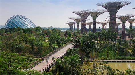 The gardens are in between the coast and marina bay sands and are well worth a visit if you are travelling to singapore. Gardens by the Bay, Singapore - Distant Journeys