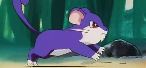 28 Awesome And Interesting Facts About Rattata From Pokemon Tons Of Facts
