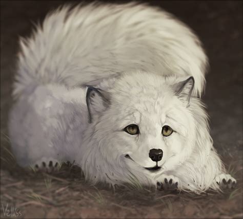 Arctic Fox By Velkss On Deviantart