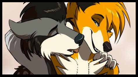 Furry Wallpapers Wolf And And Fox Furry Couples X Wallpaper Teahub Io