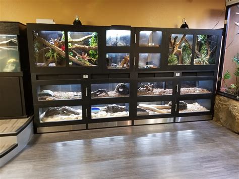 Reptile Display Enclosures | Reptile room, Reptiles, Reptile enclosure