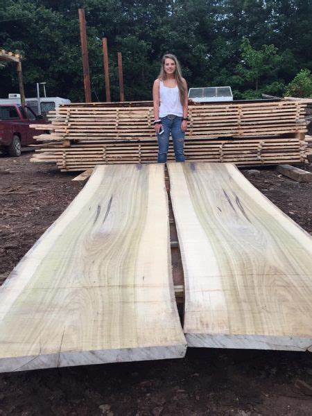 Poplar The Wood Database Lumber Identification Hardwood