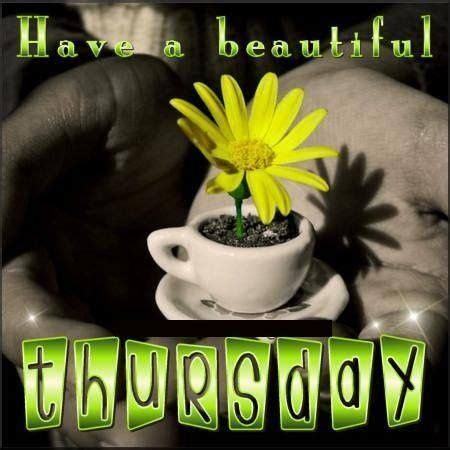 Funny happy thursday quotes for friends and family. Pin on Thought for the day