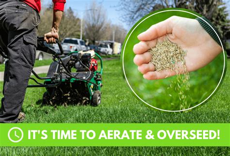 Best Time To Aerate And Overseed Lawn Cheap Store Save 42 Jlcatjgobmx