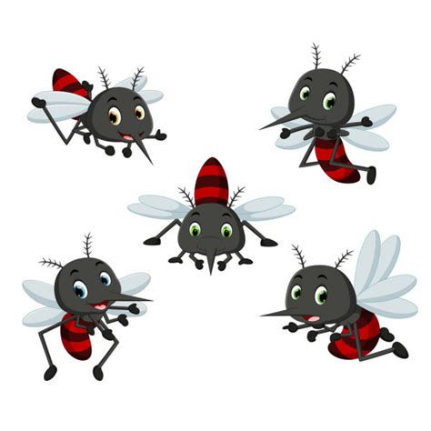 Cute Mosquito Cartoon Stock Illustration By ©hermandesign2015