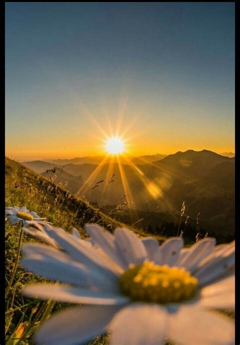 Monday, october 15, 2018 add comment edit. Matahari terbit | Fotografi alam, Pemandangan khayalan ...