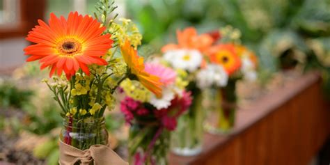 You may also see some flowers kept in coolers, which help keep the flowers fresh for a longer time with cool temperatures. How to Keep Cut Flowers Fresh: A Guide to Making Cut ...