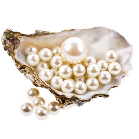 foto hd pearls png png play